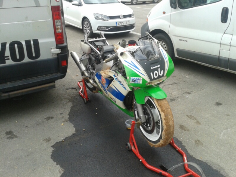 Nach dem Transport zurück in die Box und als das Herz dann langsam zu bluten anfing