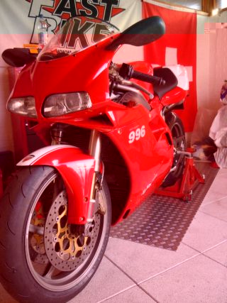 Duc2.jpg