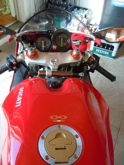 Duc3.jpg